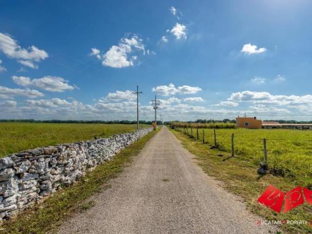 Rancho en venta en Buctzotz, Yucatán