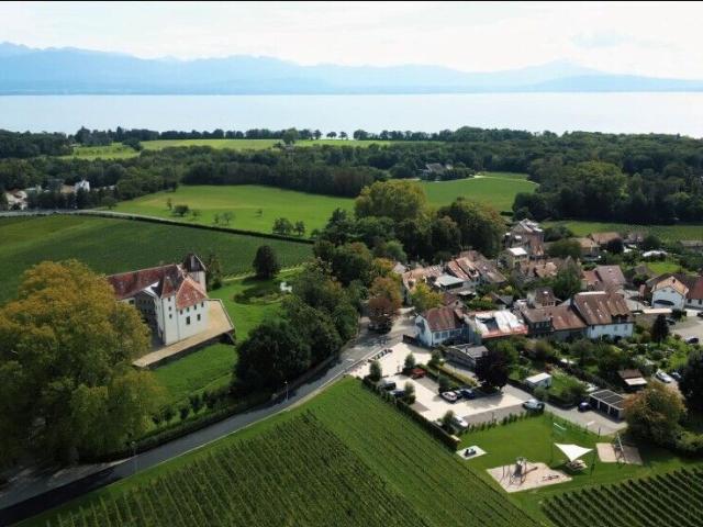 Apartment mieten in Allaman, Waadt