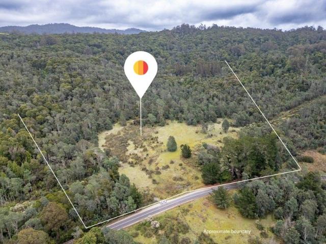 Land for sale in Weldborough, Tasmania