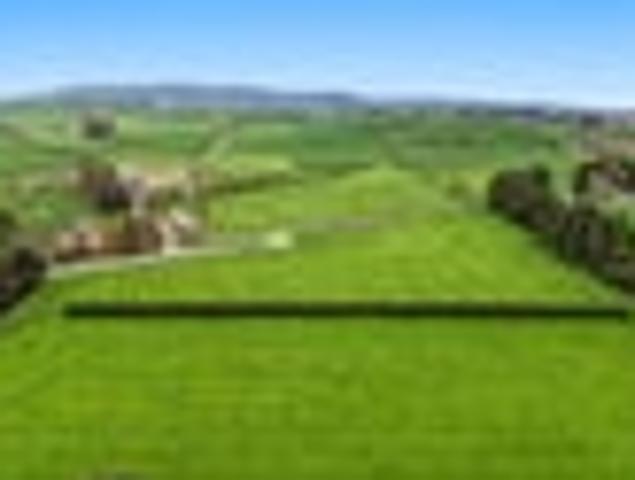 Land for sale in Kinleith, South Waikato District