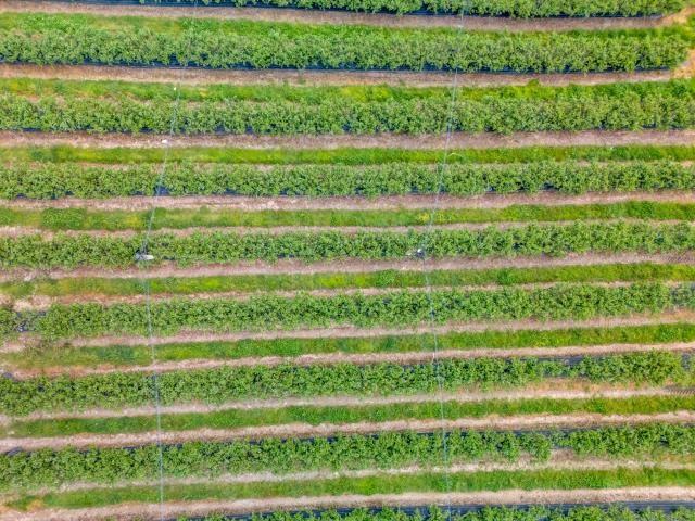 Land for sale in Congarinni North, New South Wales