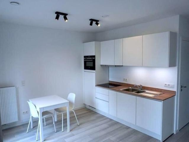 Kot location à Quartier du Centre - Centrumwijk, Bruxelles - Brussel