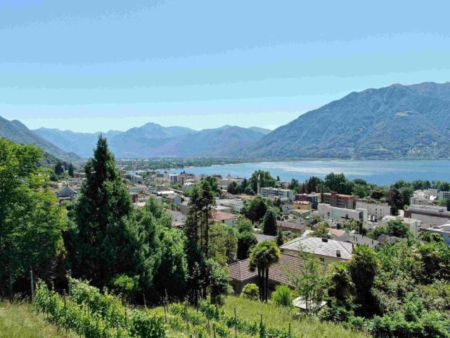 Wohnung kaufen in Minusio, Tessin
