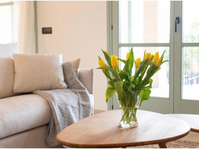 Casa en venta en ses Cases Noves, Pla de Mallorca