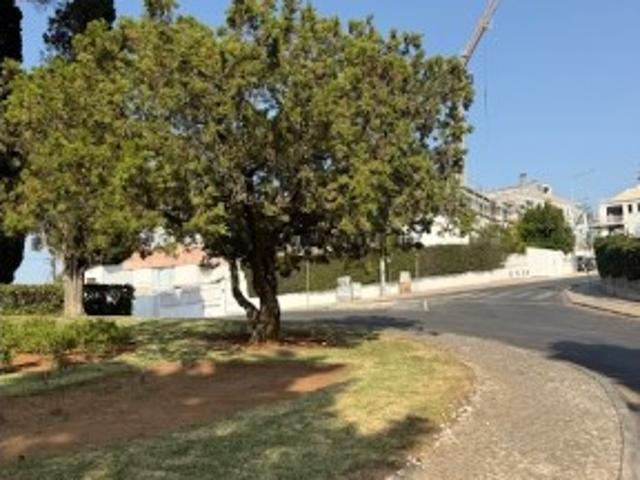 Terreno venda em Bairro do Alto da Castelhana, Cascais