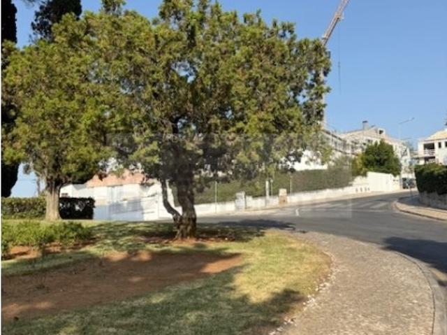 Terreno venda em Visconde da Luz, Cascais