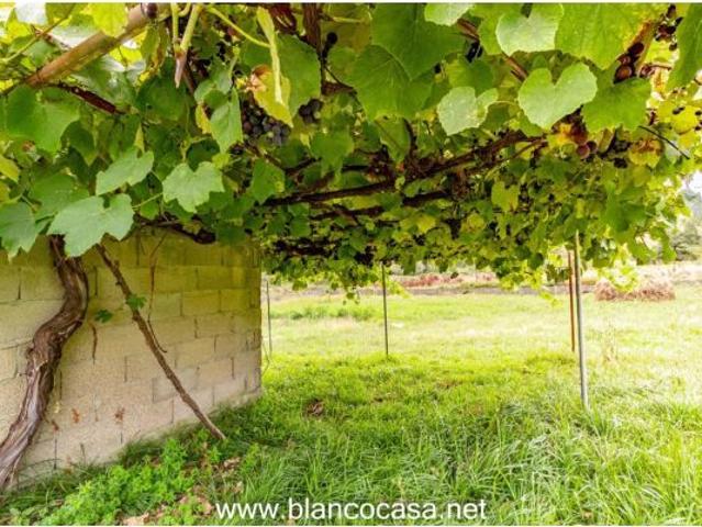 Local Comercial en venta en Oseiro, Arteixo