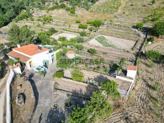 Terreno venda em Torre De Moncorvo, Bragança