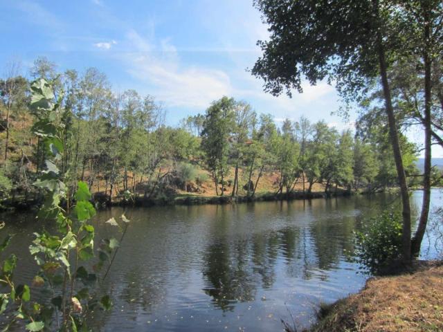 Terreno venda em Secarias, Coimbra