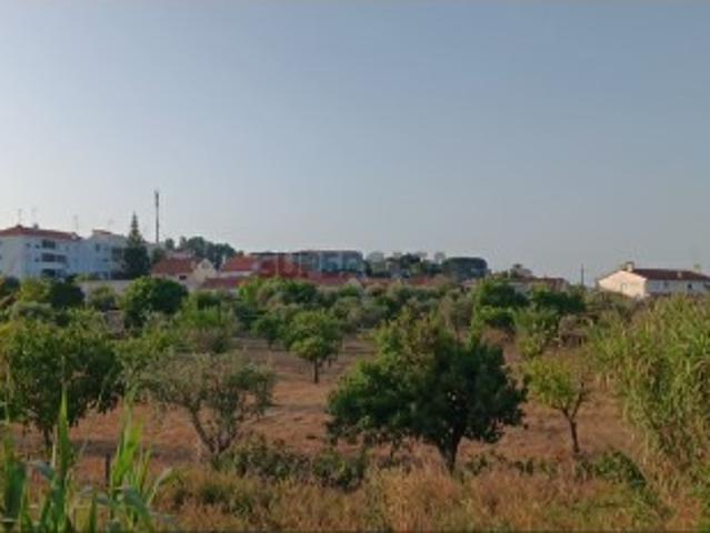 Terreno venda em Mação, Santarém