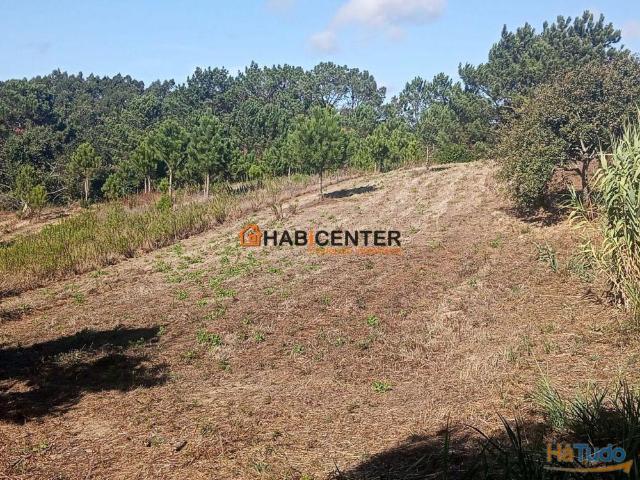 Terreno venda em Pederneira, Leiria