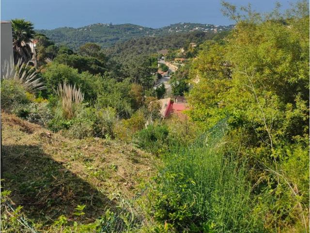 Terreno en venta en Serra Brava, la Selva