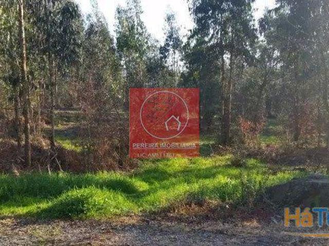 Terreno venda em Gavião, Braga