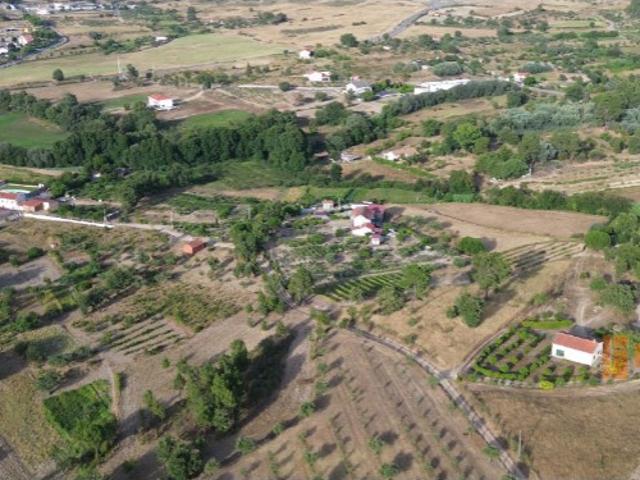 Terreno venda em Castelo Branco, Peraboa