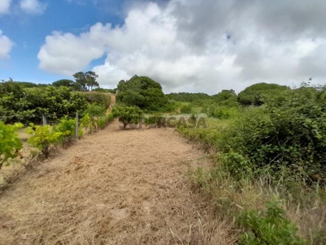 Terreno venda em Sesimbra (Castelo), Sesimbra