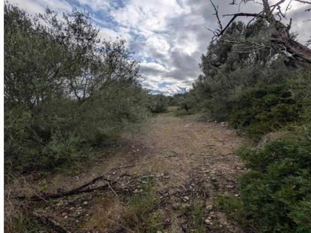 Local Comercial en venta en Pla de Mallorca, Baleares