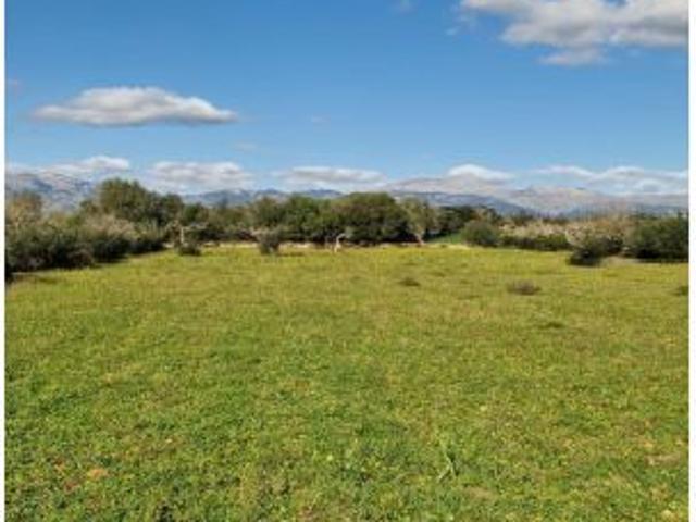 Local Comercial en venta en Pla de Mallorca, Baleares