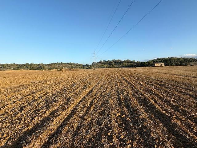 Terreno en venta en Pla de Mallorca, Baleares
