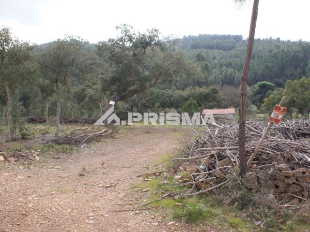 Terreno venda em Castelo Branco, Idanha-a-nova