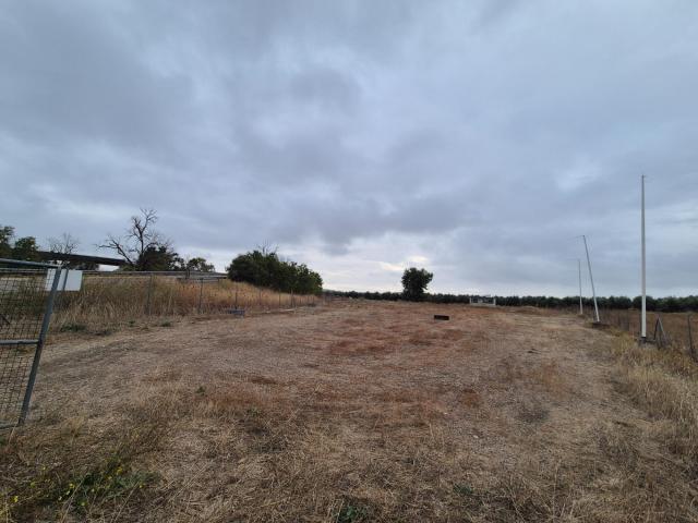 Terreno en venta en El Carpio, Andalucía