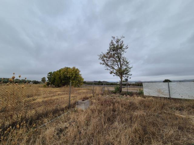 Terreno en venta en El Carpio, Andalucía