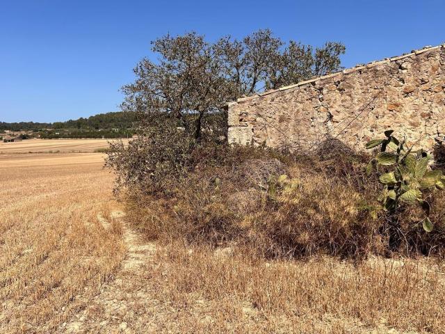 Terreno en venta en Sineu, ses Cases Noves
