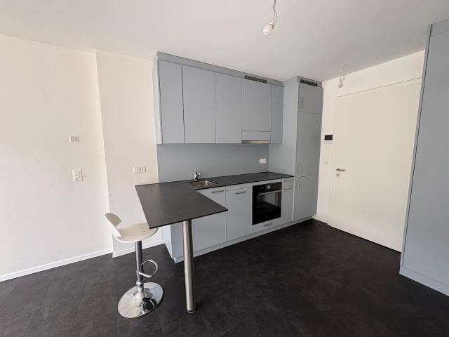 Apartment mieten in Les Mayens-de-Sion, Wallis