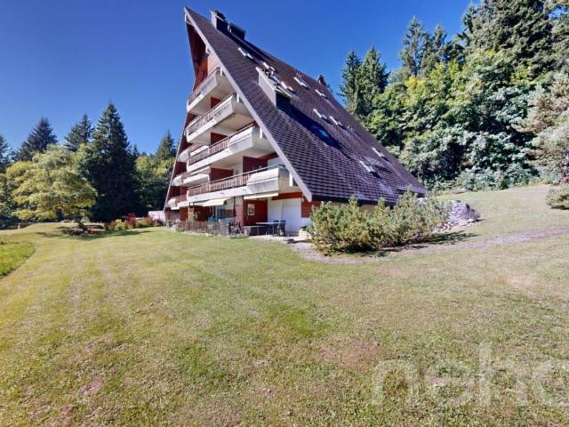 Wohnung kaufen in Gryon, Waadt