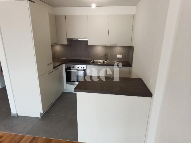 Apartment mieten in Neuchâtel, Corcelles (NE)