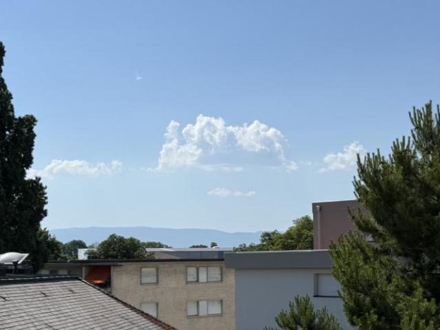 Apartment mieten in Cheseaux-Lausanne, Waadt