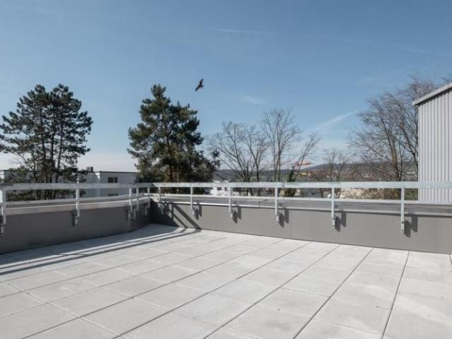 Apartment mieten in Niederhasli, Zürich