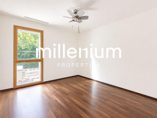 Apartment mieten in Petit-Lancy, Lancy