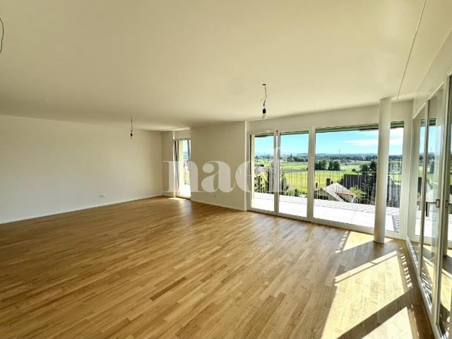 Apartment mieten in Gampelen, Bern