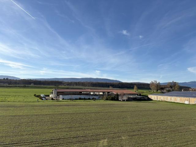 Attikawohnung kaufen in Cossonay-Ville, Waadt