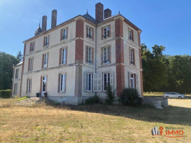 Château vente à Auxerre, Saint-fargeau