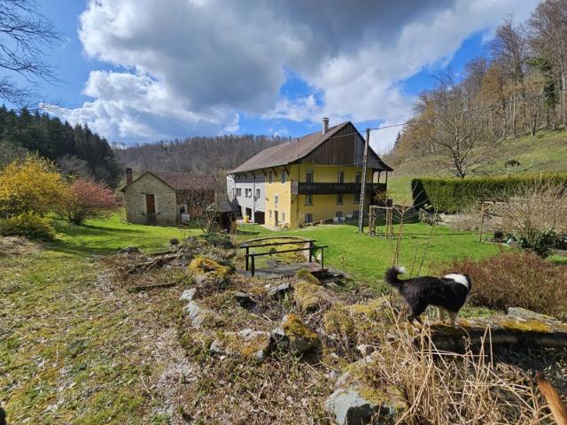 Maison vente à Cosne-Cours-sur-Loire, Cosne-cours-sur-loire