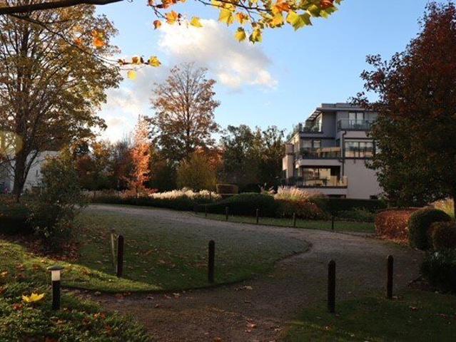 Appartement location à Uccle - Ukkel, Brussel-Hoofdstad - Bruxelles-Capitale