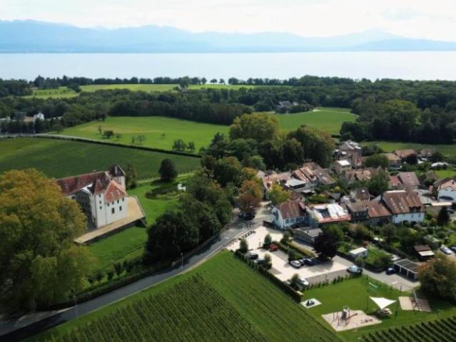 Apartment mieten in Allaman, Waadt