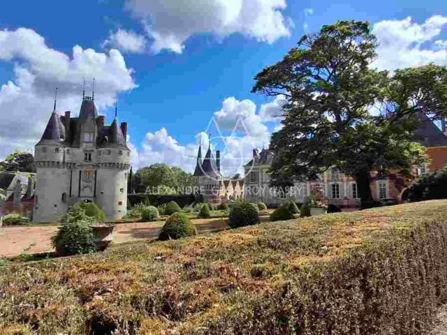 Château vente à Vaugelan, Brou