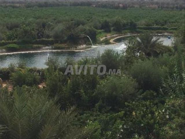 Propriété vente à Al Haouz, L'Oriental