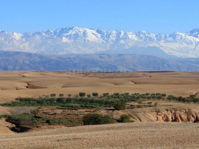 Ferme vente à L'Oriental