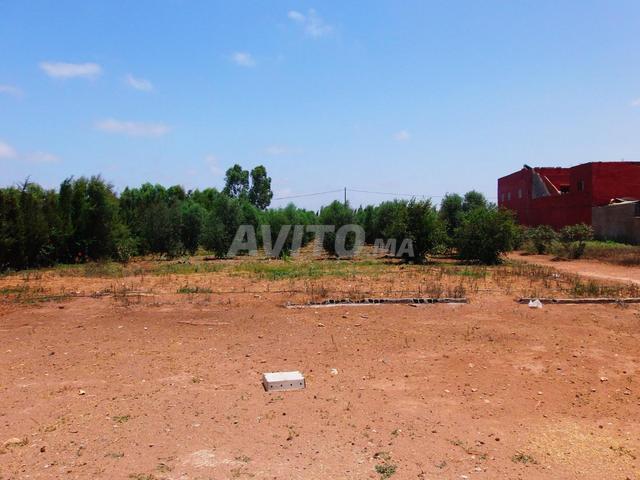 Propriété vente à El Ma, Gharb-Chrarda-Beni Hssen