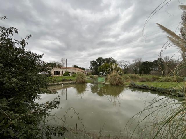 Maison vente à Condom, Fourcès