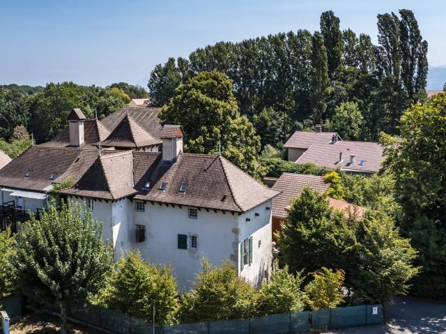 Château vente à Gex, Grilly
