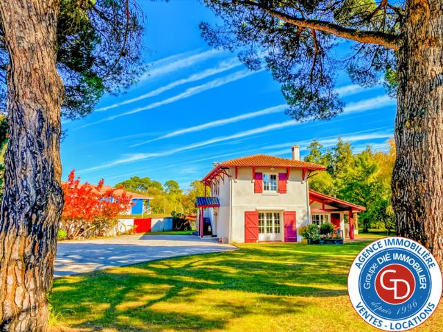 Maison vente à France métropolitaine, Sanguinet