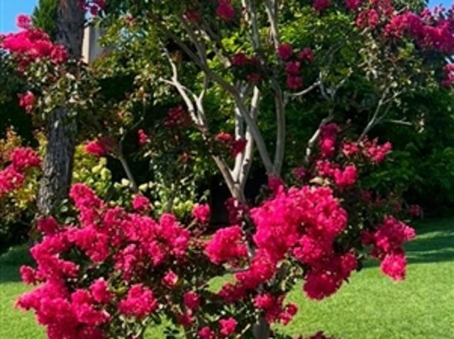 Einfamilienhaus kaufen in Lutry, Waadt