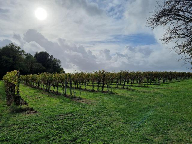 Maison vente à Jonzac, Vanzac