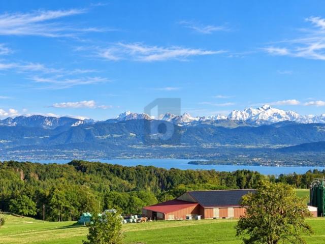 Maisonette kaufen in Bassins, District de Nyon
