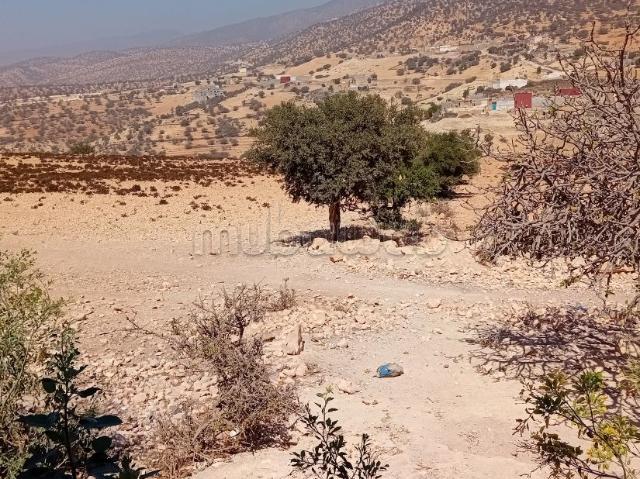 Terrain vente à Agadir, Oued ed Dahab-Lagouira