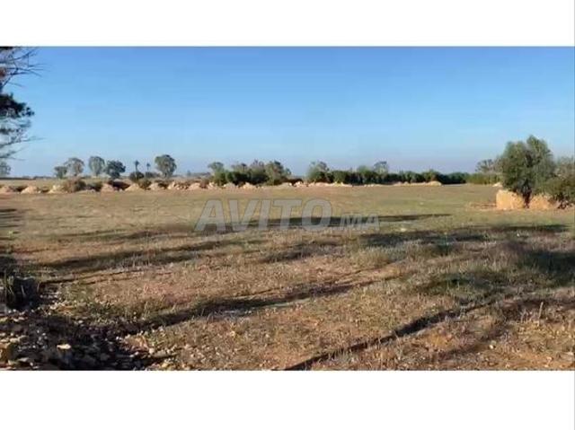Propriété vente à El Ma, Gharb-Chrarda-Beni Hssen